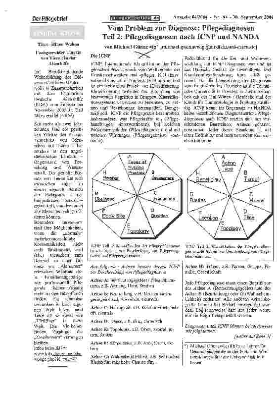 Vorschauseite 2: Vom Problem zur Diagnose: Pflegediagnosen Teil 2: Pflegediagnosen nach ICNP und NANDA