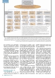 Vorschauseite 2: Kritische Betrachtung der Methodologie des Notfallmanagements