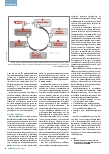 Vorschauseite 5: Aushebelung der Regel? Geduldeter Antagonismus in der Notfallversorgung