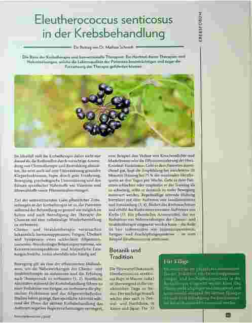 Vorschauseite 1: Eleutherococcus senticosus in der Krebsbehandlung