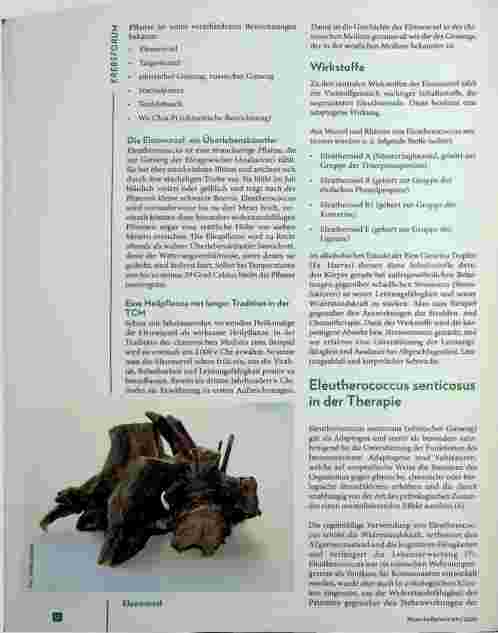 Vorschauseite 2: Eleutherococcus senticosus in der Krebsbehandlung