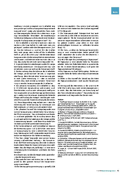 Vorschauseite 3: Betreiberverantwortung und Strafhaftung Der Stromschlag auf der Trampolinanlage