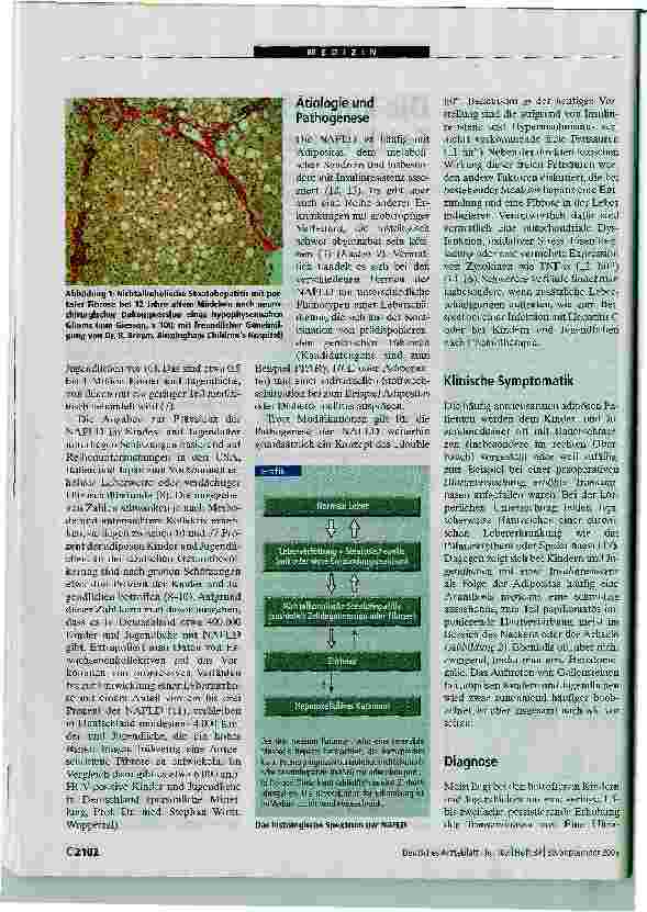 Vorschauseite 2: Die kindliche Fettlebererkrankung