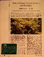 Vorschauseite 1: Vitis vinifera folium rubrum - die Weinrebe Heilpflanze des Jahres 2023
