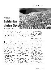 Vorschauseite 1: Bakterien bieten Schutz