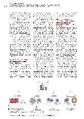 Vorschauseite 3: Prähabilitation zur Vorbereitung auf eine schwere Operation - was können wir tun?