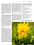 Vorschauseite 2: Die Notwendigkeit einer tantrischen Wende