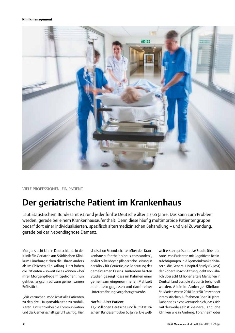 Vorschauseite 1: Viele Professionen, ein Patient: Der geriatrische Patient im Krankenhaus