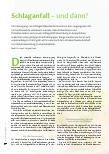 Vorschauseite 1: Schlaganfall – und dann?