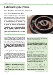 Vorschauseite 1: Es braucht gute Praxis: Best Practice, Leitlinien und Standards