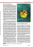 Vorschauseite 4: Mit Worten malen und mit Bildern schreiben...