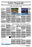 Vorschauseite 1: Labor und Diagnostik