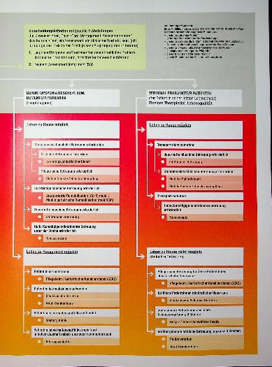Vorschauseite 4: Grazer Geriatrie Tool: Assessment zur Einschätzung des Versorgungsbedarfs geriatrischer und chronisch kranker Patientinnen und Patienten