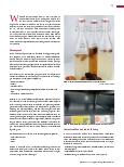 Vorschauseite 2: Do-it-yourself-Hefe – Birgt die eigene Hefeherstellung ein Gefahrenpotenzial? Sensorische und mikrobiologische Untersuchung selbst hergestellter Hefewässer