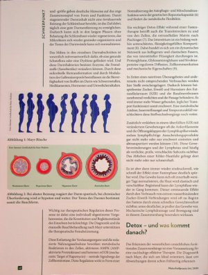 Vorschauseite 3: Zurück zur Mitte Darmdetox zwischen Tradition und moderner Molekularbiologie