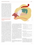 Vorschauseite 3: Der Intuitive Yoga