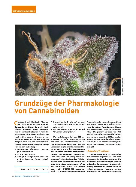 Vorschauseite 1: Grundzüge der Pharmakologie von Cannabinoiden