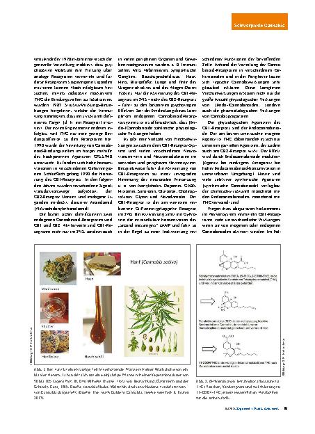 Vorschauseite 2: Grundzüge der Pharmakologie von Cannabinoiden