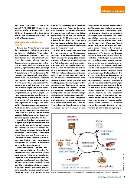 Vorschauseite 4: Grundzüge der Pharmakologie von Cannabinoiden