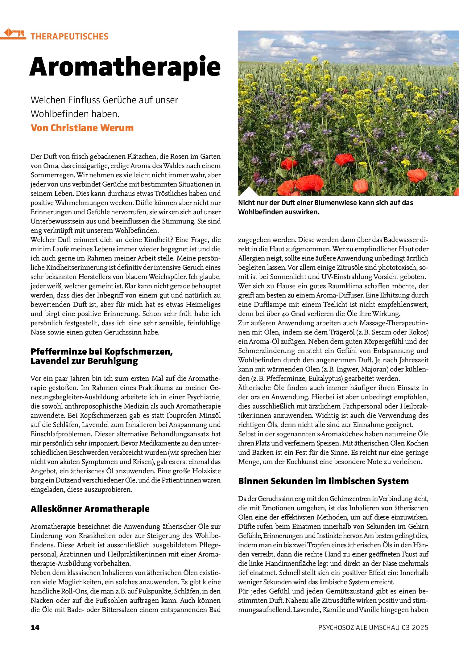 Vorschauseite 1: Aromatherapie