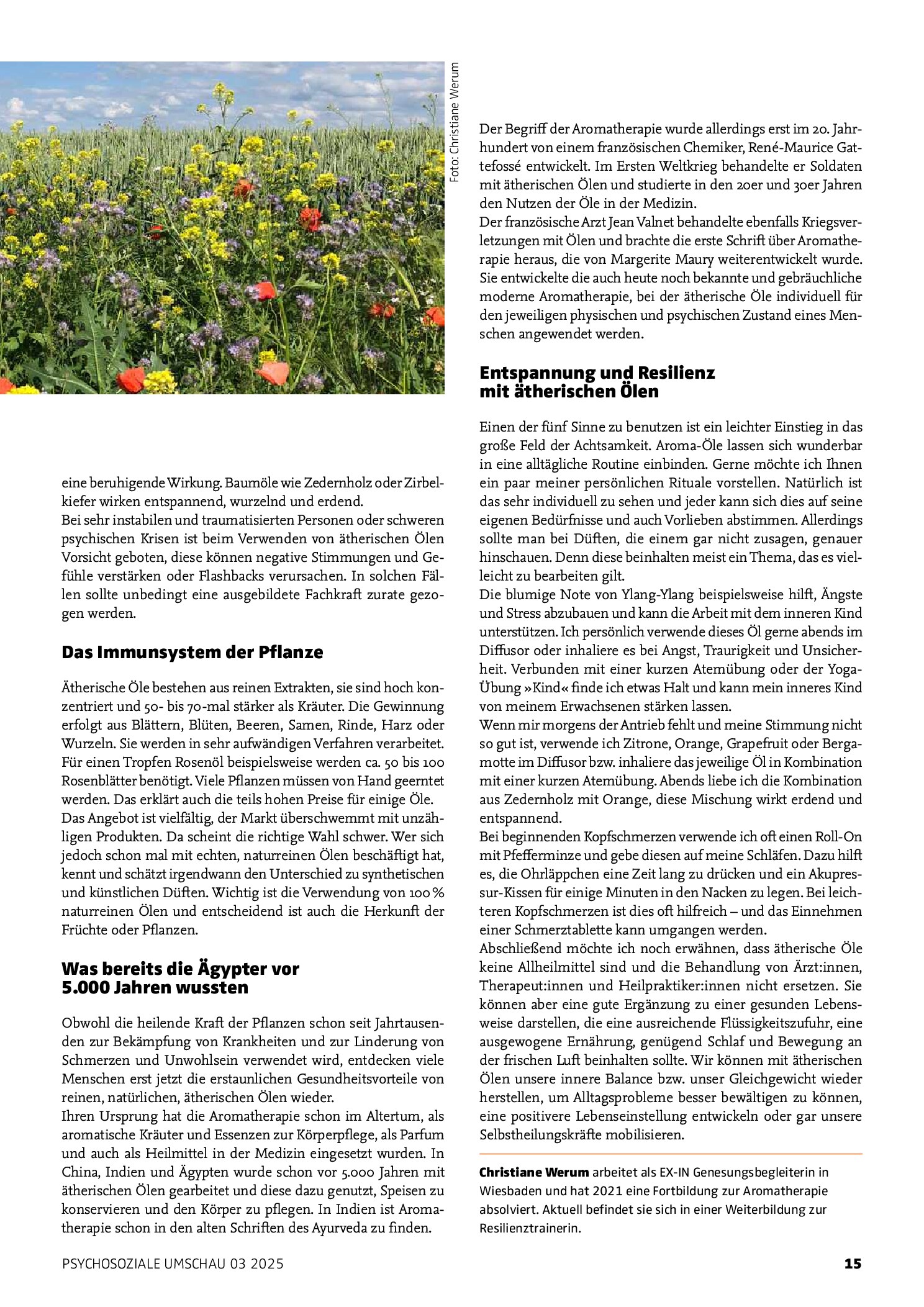 Vorschauseite 2: Aromatherapie