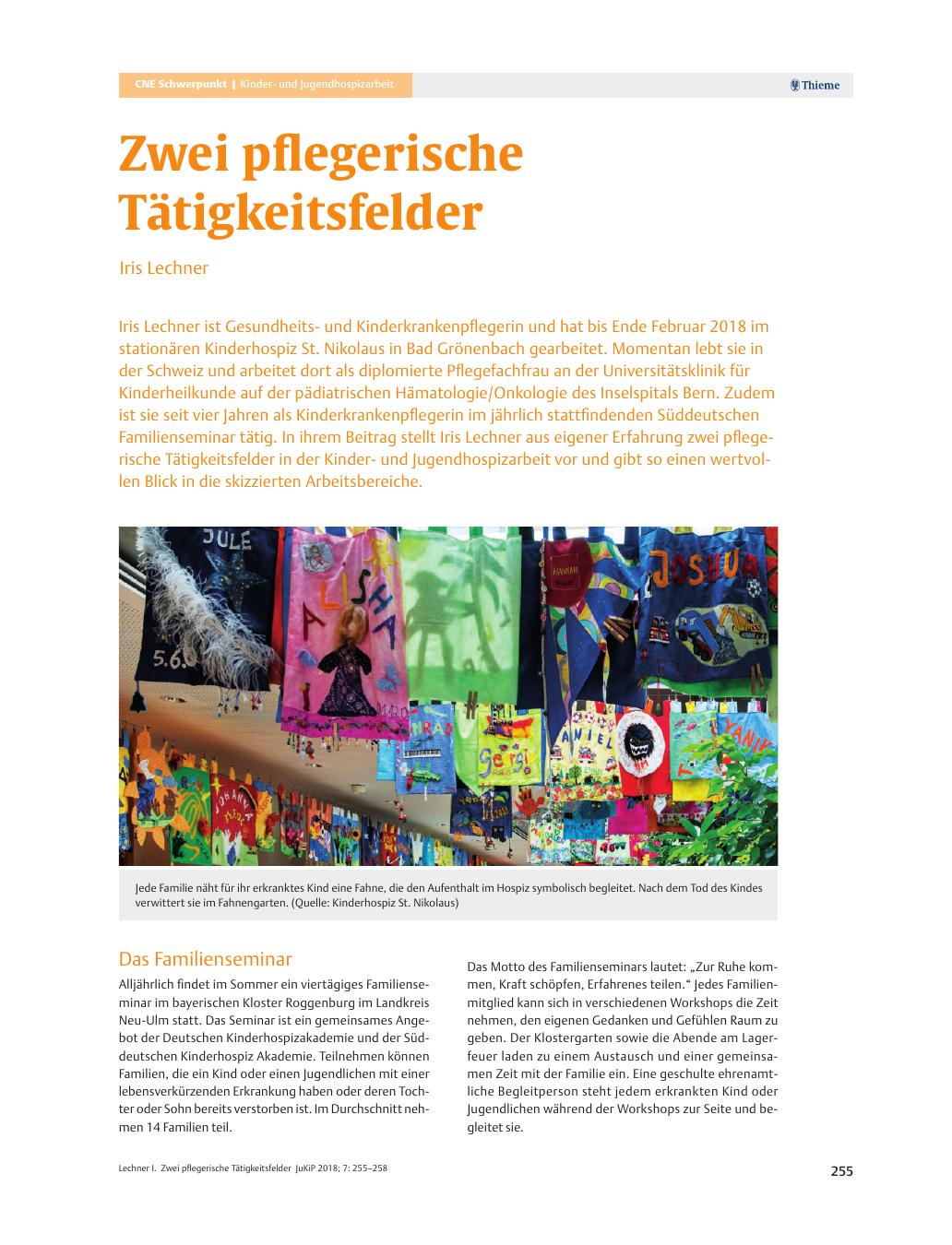 Vorschauseite 1: Zwei pflegerische Tätigkeitsfelder