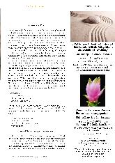 Vorschauseite 4: "Was lebendig macht"