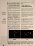 Vorschauseite 2: Lebendiges Wasser - biochemische und biophysikalische Aspekte