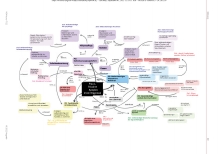 Vorschauseite 3: Eine komplexe Pflegesituation als Concept Map