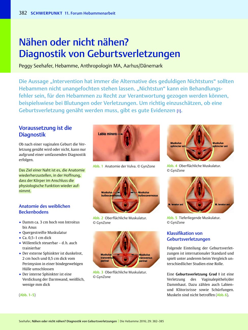 Vorschauseite 1: Nähen oder nicht nähen? Diagnostik von Geburtsverletzungen