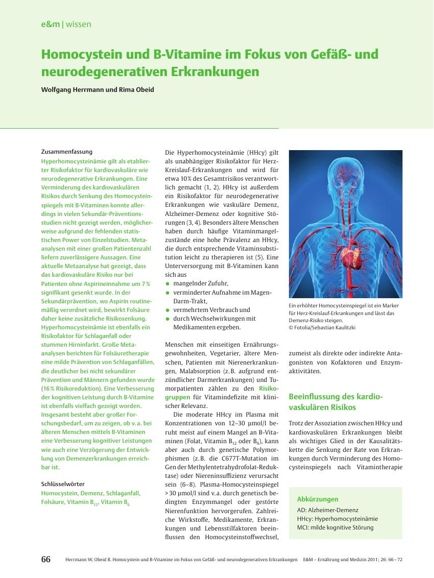 Vorschauseite 1: Homocystein und B-Vitamine im Fokus von Gefäßund neurodegenerativen Erkrankungen