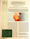 Vorschauseite 1: Das Bindegewebe und die Rolle der Kieselsäure. Was verrät das Auge? - Teil 1
