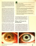 Vorschauseite 2: Das Bindegewebe und die Rolle der Kieselsäure. Was verrät das Auge? - Teil 1