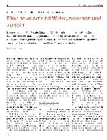 Vorschauseite 1: Über die Freude zur Spiritualität im Tantra Teil 3: Eine neue Art und Weise, zu sehen und zu sein.
