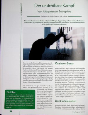 Vorschauseite 1: Der unsichtbare Kampf Vom Alltagsstress zur Erschöpfung