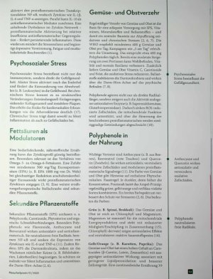 Vorschauseite 2: Der unsichtbare Kampf Vom Alltagsstress zur Erschöpfung