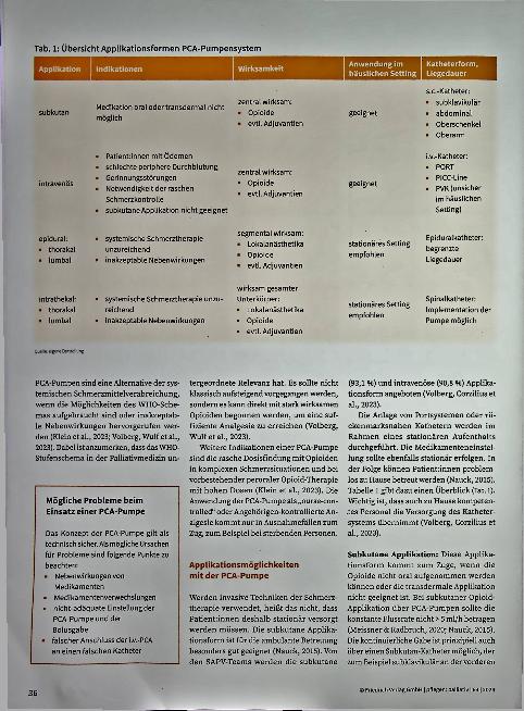 Vorschauseite 2: Wenn der Patient die Analgesie selbst steuert: Umgang mit Schmerzpumpen in der Palliativversorgung