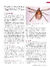 Vorschauseite 2: Q-Fieber: Zoonose mit Potenzial zur Biowaffe