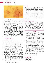 Vorschauseite 3: Q-Fieber: Zoonose mit Potenzial zur Biowaffe