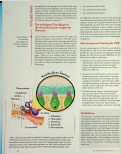 Vorschauseite 5: Neurozentriertes Training in der Therapie - Die Halswirbelsäule im Fokus