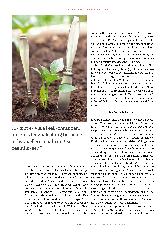Vorschauseite 3: Mit veganer Ernährung das Klima retten?