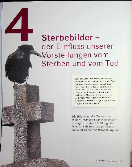 Vorschauseite 1: Die Erfahrung des Todes