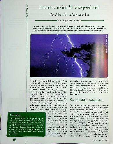 Vorschauseite 1: Hormone im Stressgewitter: Von Adrenalin zu Ashwagandha