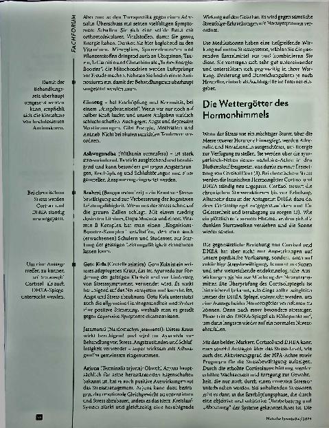 Vorschauseite 3: Hormone im Stressgewitter: Von Adrenalin zu Ashwagandha