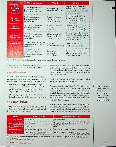 Vorschauseite 2: Arthrose-Behandlung der Zukunft Chancen und Risiken moderner Schmerztherapien