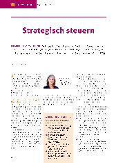 Vorschauseite 1: Strategisch steuern