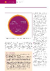 Vorschauseite 3: Strategisch steuern