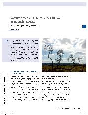 Vorschauseite 1: Narzisstischer Missbrauch - eine Form von emotionaler Gewalt. Die Bedeutung in der Ergotherapie.