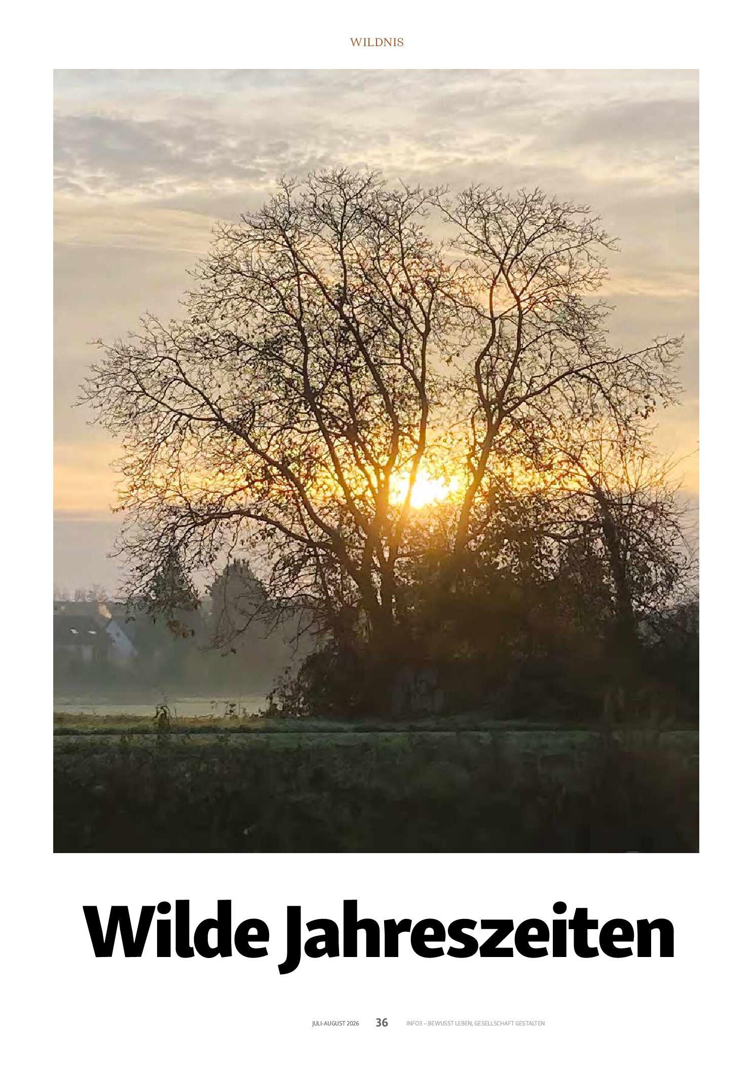 Vorschauseite 1: Morgens an der Nidda