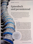 Vorschauseite 1: Episodisch und persistierend